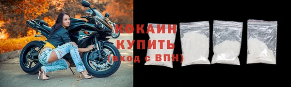 ГАЛЛЮЦИНОГЕННЫЕ ГРИБЫ Абаза