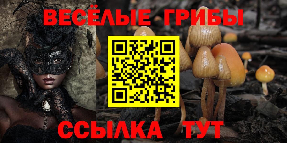 Галлюциногенные грибы мухоморы  Вход с VPN  Галлюциногенные грибы ЛСД  цена наркотик  Азов 